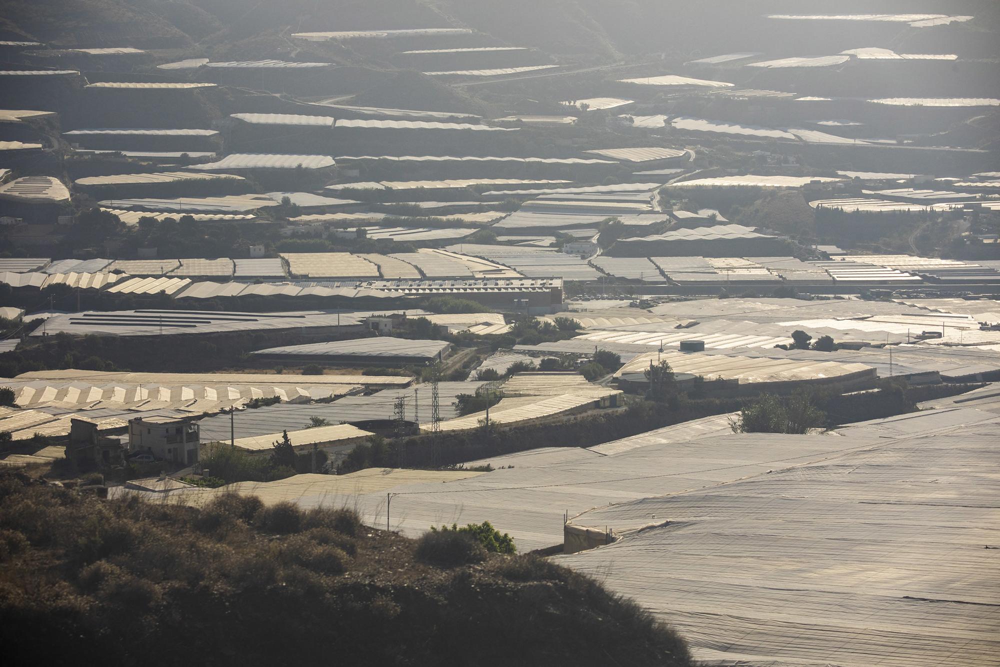 Andalucia Varios Medio Ambiente - 7